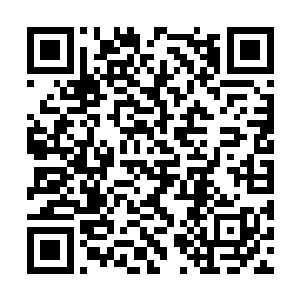 几个生物工程方面的科学家也为王铮调整了培养液二维码生成