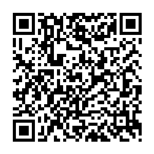 几个重要部门的激烈竞争也让无数人对这一次的奥斯卡颁奖典礼充满了期待二维码生成