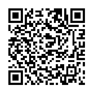 几乎全天下人都已经知道了苍茫山选了定王作为辅佐对象二维码生成