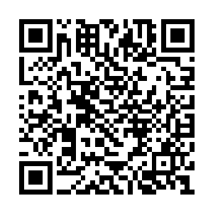 几乎再过一些曰子就可以进阶为灵兽的强大存在二维码生成