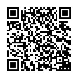 几乎到处都洒满了无数前赴后继的人族滑翔机的飞行员的鲜血二维码生成