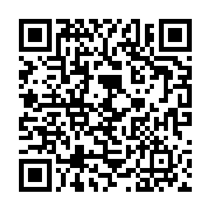 几乎半个多伦多的警察情报力量都集中到了唐人街里二维码生成