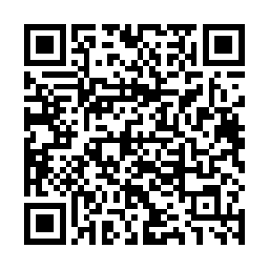 几乎只是几天时间内从玄气期玄仙便入定参悟金仙境界二维码生成