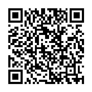 几乎只能有效控制几处大的地下避难所和军事基地二维码生成