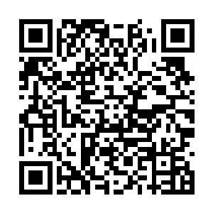 几乎将小四象阵法覆盖的这一片区域都完全覆盖了二维码生成