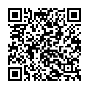 几乎将小白虎身上的每一个角落都看的仔仔细细二维码生成