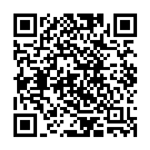 几乎将飞天猫之前用过的所有中路英雄都给ban掉了二维码生成