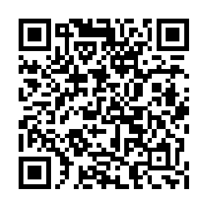 几乎就是在苏林进入通道不到一个深呼吸的时间二维码生成