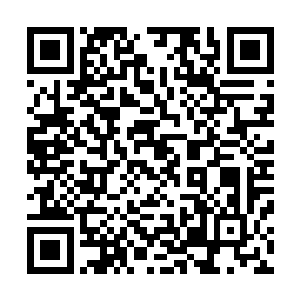 几乎快望眼欲穿的魔宫中人与一干守墓的人连忙跑下船迎接二维码生成