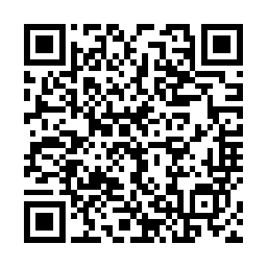 几乎快要死掉――那个时候我也以为我已经要死掉――二维码生成