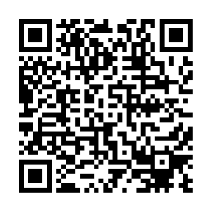 几乎想也没想就是一脚踹了过去的……别看她那漂漂亮亮二维码生成