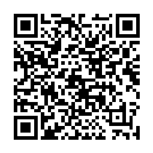 几乎成了骨肉分离骷髅架子的褚子山终究是没能熬下去二维码生成