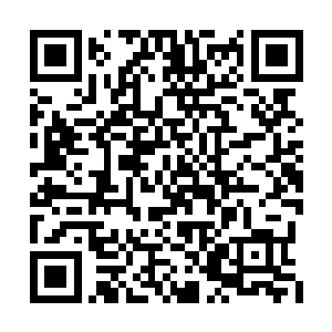 几乎所有人都在这电光火石间被卷入了纷争之中二维码生成