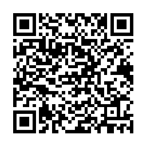 几乎所有来到艾尼拉拉的人心中都会有一个飞翔的美梦二维码生成