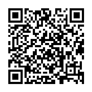 几乎所有的修仙者都把注意力投向那片被阵法遮盖的地方二维码生成