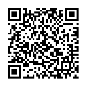 几乎整个魔武学院的人都知道了发生在赌斗场的事了二维码生成