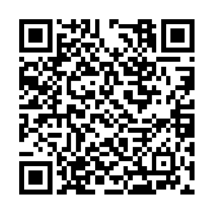 几乎是在万妖之主的身躯之上形成了一个巨大风暴二维码生成