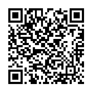 几乎是异口同声地表达了对秦渭这位大导演的不满二维码生成