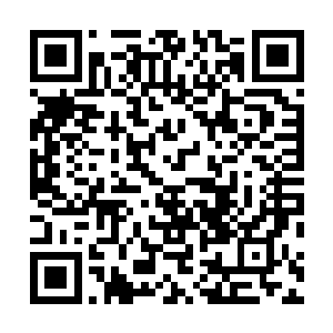 几乎有一大半的装备都是适合各种异能者使用的高阶武器二维码生成