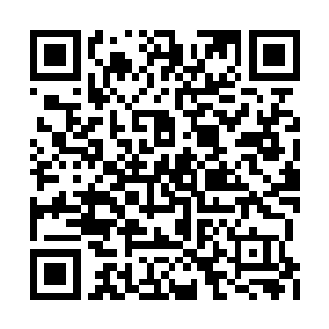 几乎每一个火力点都重新开始喷吐着致命的火舌二维码生成