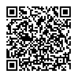 几乎每一次飞升龙傲天都已经将天龙宗打造成了整个位面的最强大的存在二维码生成