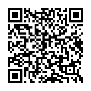 几乎每个农业帝国时期都最多只能一波人口红利二维码生成