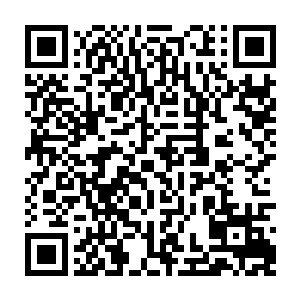 几乎毫无延迟地生活在一万个或者十万个或者一百万个或者一亿个同胞的身体里二维码生成