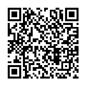 几乎瞬间便涌现出一股强横无比的力量向妖兽砸去二维码生成