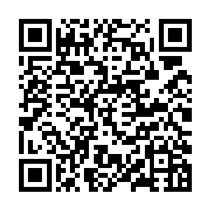 几乎立刻就感觉到从欣姐的体内有真元进入自己体内二维码生成