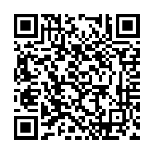 几乎立即就会被上空纵横捭阖的强大神念撕得粉碎二维码生成