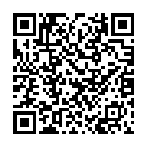 几乎被路过的修士都能听到代离的这一无所属传音二维码生成