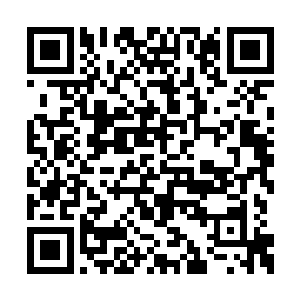 几乎都是经受过这万钧雷霆数以万年的不停轰击二维码生成