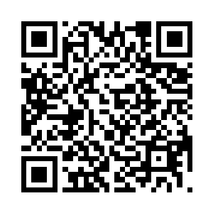 几乎都让人以为这是放春假时的学校了二维码生成