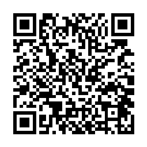几人的目光从十煞堡青年天才所在的阁楼中收回目光二维码生成