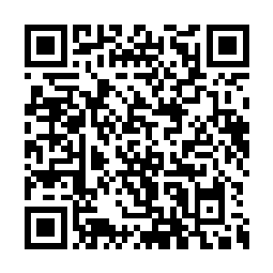 几件玩器摆设还是赶在林锦楼心情好时讨要来的二维码生成