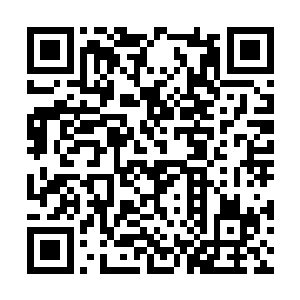 几十名亲卫勇士紧紧护持着这位身份尊贵的四大王二维码生成