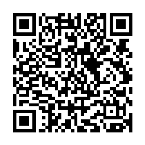 几十支经过改装的重型枪械对着他轰出一片瓢泼大雨般的弹幕二维码生成