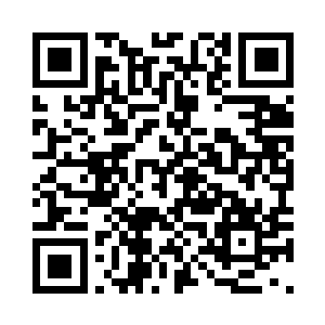 几只修为最高的灵狐已经拍胸脯表示二维码生成