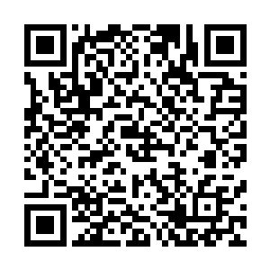 几只嗅到生人气息的蚀骨狼矫健而又轻盈地从藏身之处走出二维码生成