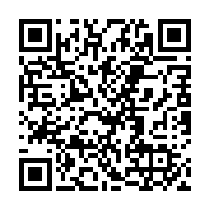 几只大角牛这刻正贪婪地啃食着田野上刚长成的长青草二维码生成