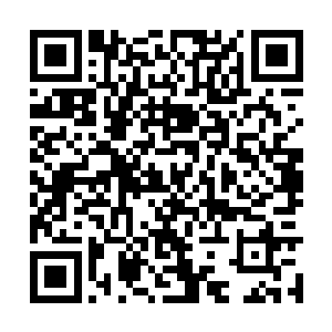 几只形状各异颜色各异的小虫被蒹葭给扔飞了出去二维码生成