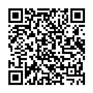 几名土城人艰辛地掩护着他们的公主和祭司向安全处躲藏二维码生成