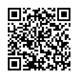 几天就能碰到一批奔赴不回关方向的域主二维码生成