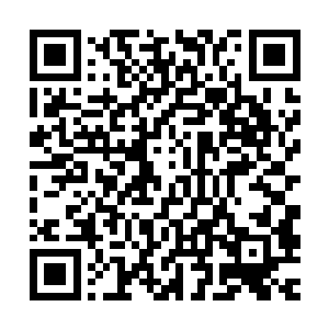 几家专业的旅游地产开发公司刚准备去找在边缘位置的泰坦商会二维码生成