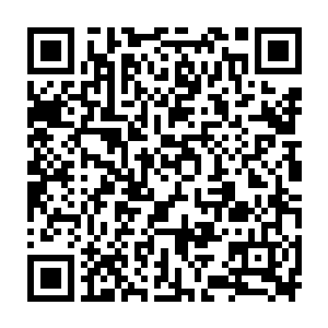 几百名将级高手同时结合的力量就如无数条枝干河流在源头的时候汇聚在了一起二维码生成