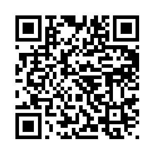 几辆集装箱车停在了港口的码头上二维码生成