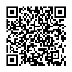 几道深沉的黑影突然从附近的沼泽当中爆发出来二维码生成