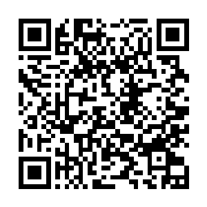 几颗看起来非常不起眼的黄灵石从他的手中散向了四方二维码生成