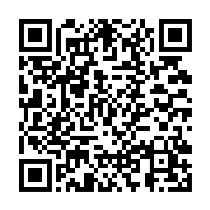 凡尘大人让他将所有的东西全都运到凡尘大人那里去二维码生成