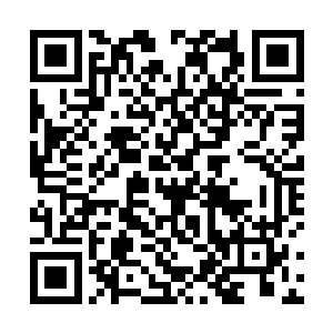 凡是屋子里面能够搬走的东西她一律给收进了紫烟空间二维码生成